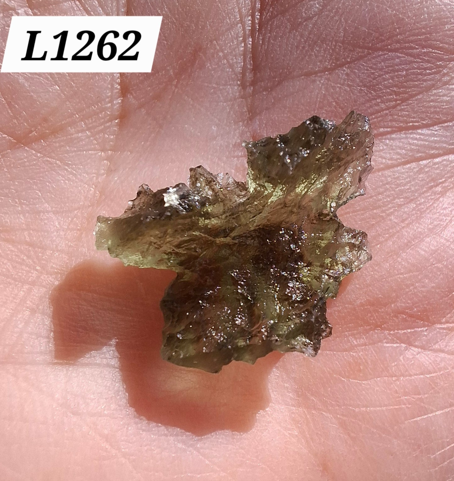 Moldavite Piece, JEZKOVNA BESEDNICE, 1.51g, Tektite (Ref: 1262)