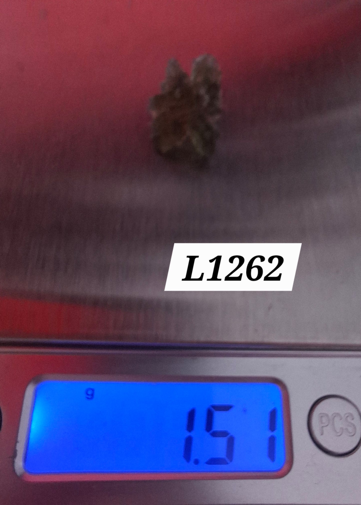 Moldavite Piece, JEZKOVNA BESEDNICE, 1.51g, Tektite (Ref: 1262)
