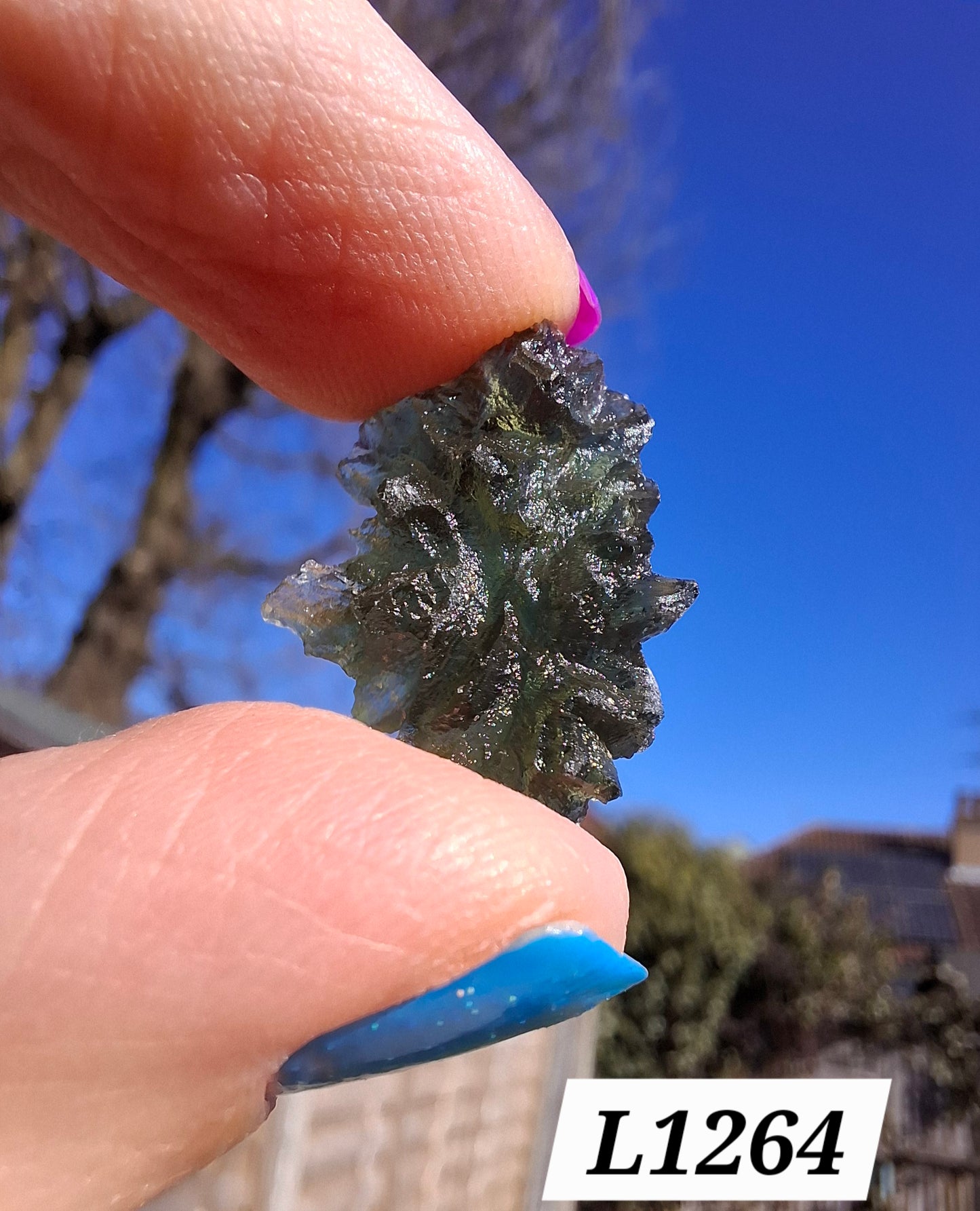 Moldavite Piece, JEZKOVNA BESEDNICE, 2.00g, Tektite (Ref: 1264)