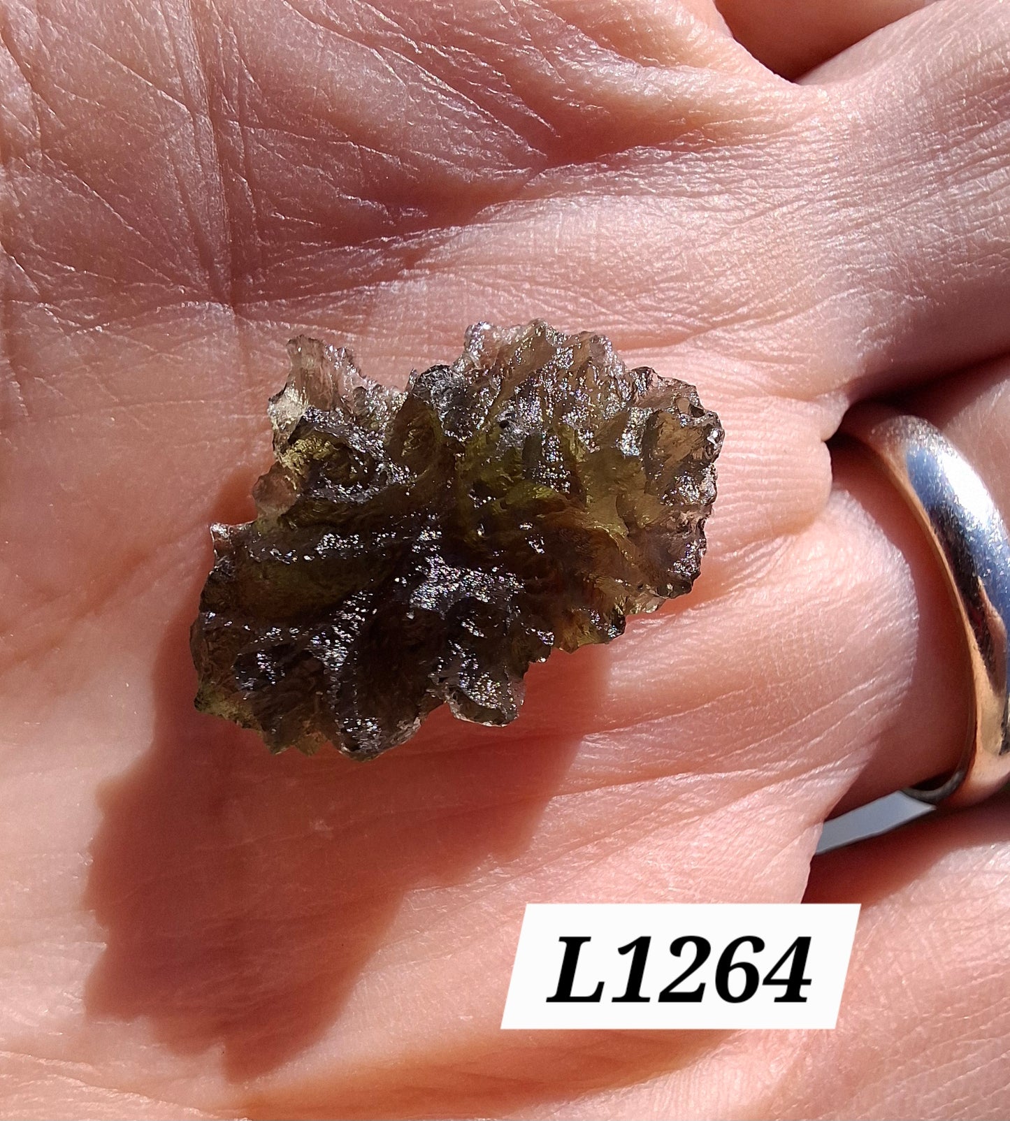 Moldavite Piece, JEZKOVNA BESEDNICE, 2.00g, Tektite (Ref: 1264)