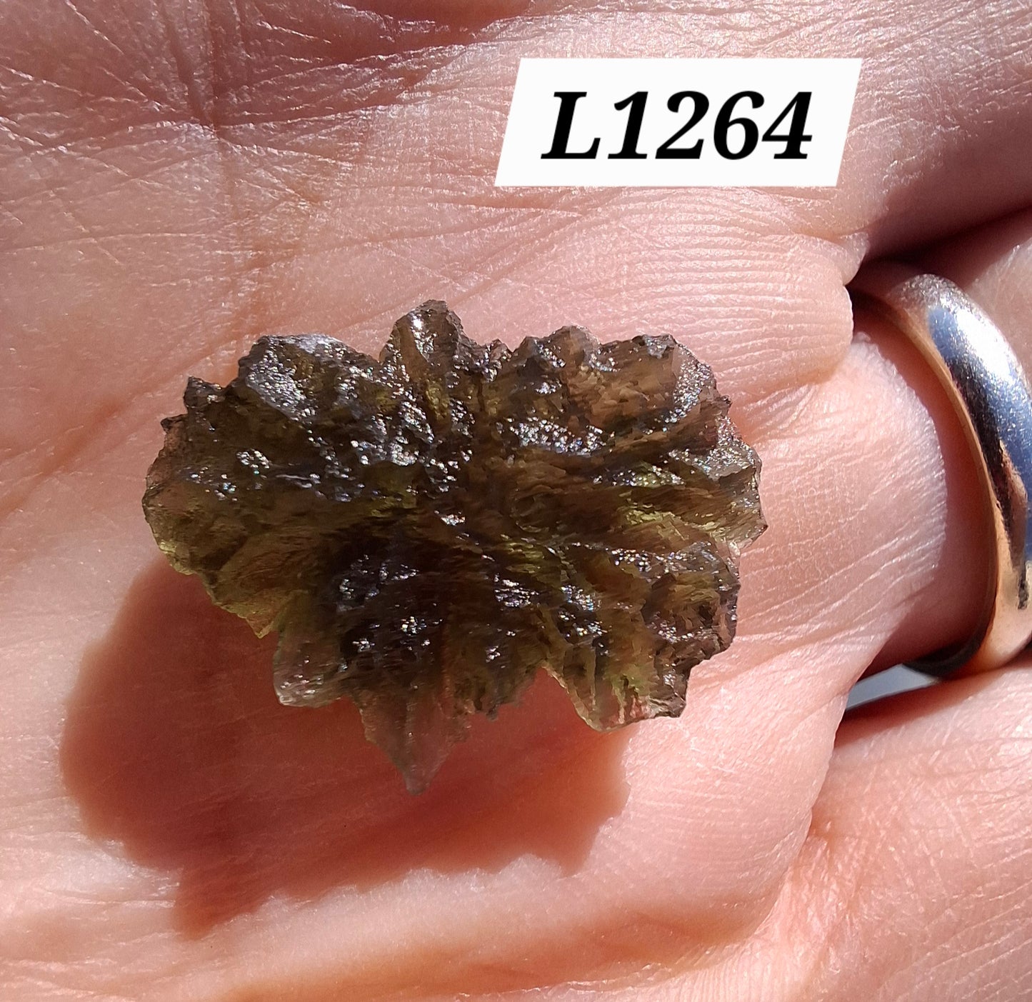 Moldavite Piece, JEZKOVNA BESEDNICE, 2.00g, Tektite (Ref: 1264)