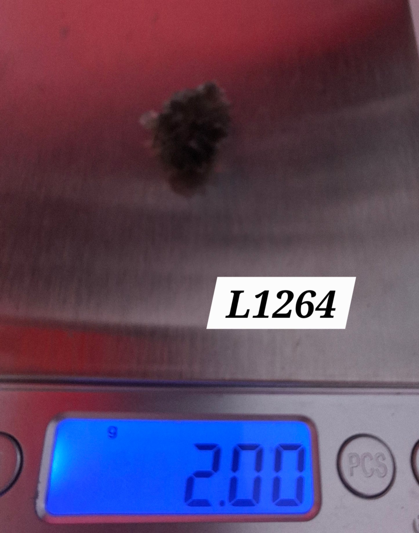 Moldavite Piece, JEZKOVNA BESEDNICE, 2.00g, Tektite (Ref: 1264)