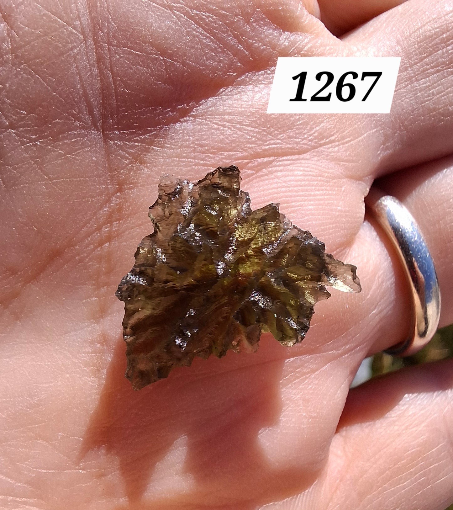 Moldavite Piece, JEZKOVNA BESEDNICE, 1.46g, Tektite (Ref: 1267)