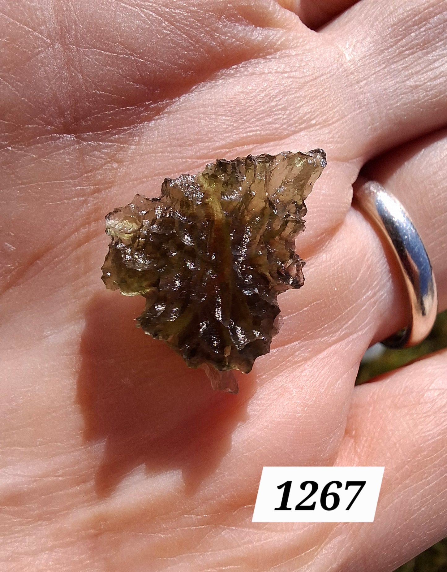 Moldavite Piece, JEZKOVNA BESEDNICE, 1.46g, Tektite (Ref: 1267)