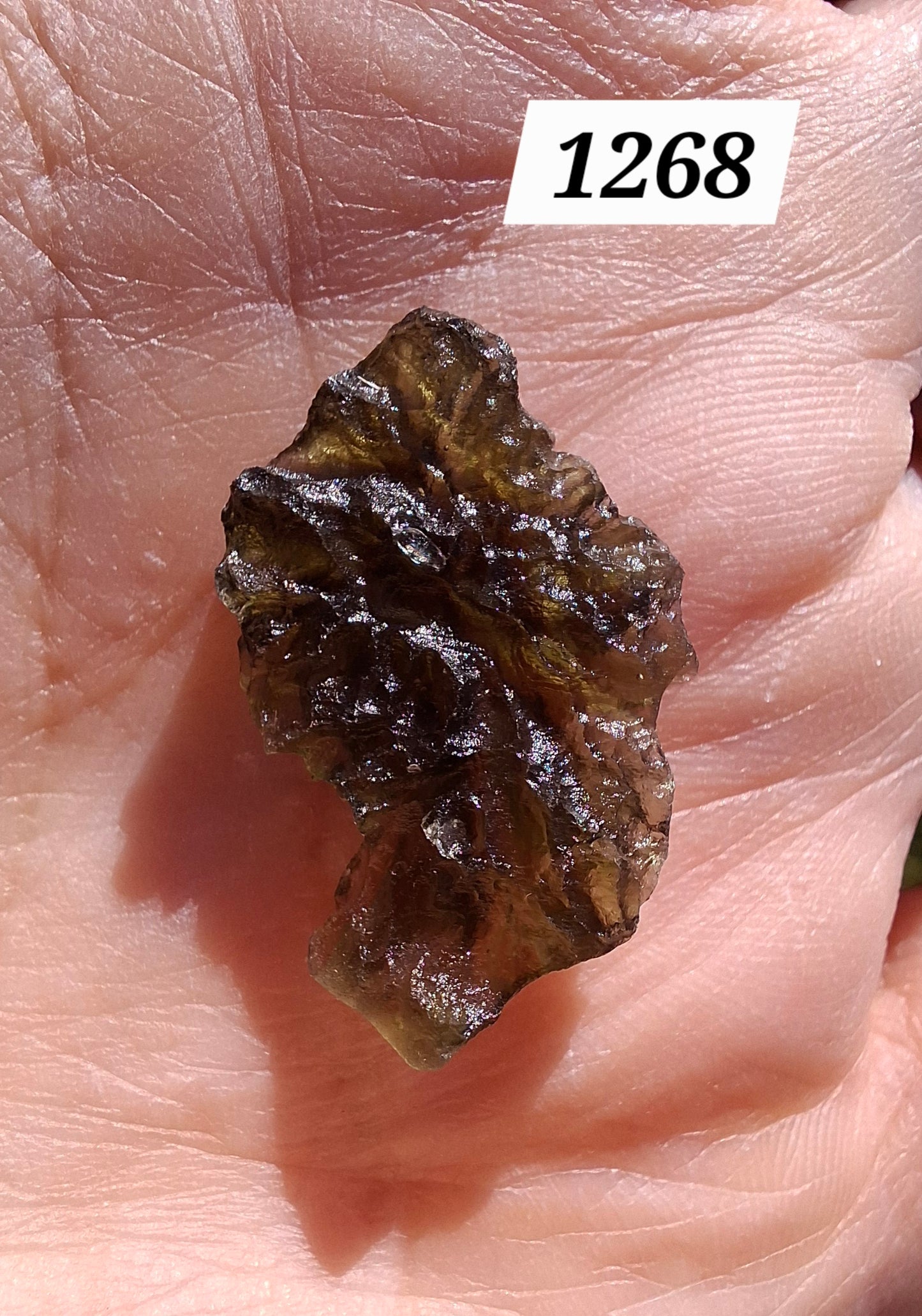 Moldavite Piece, JEZKOVNA BESEDNICE, 1.69g, Tektite (Ref: 1268)