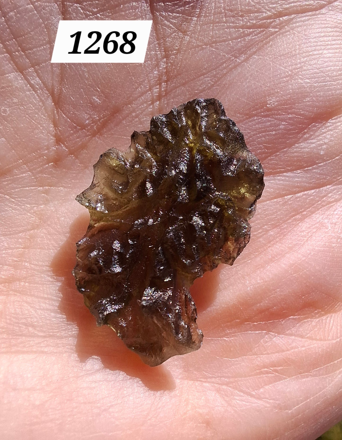 Moldavite Piece, JEZKOVNA BESEDNICE, 1.69g, Tektite (Ref: 1268)