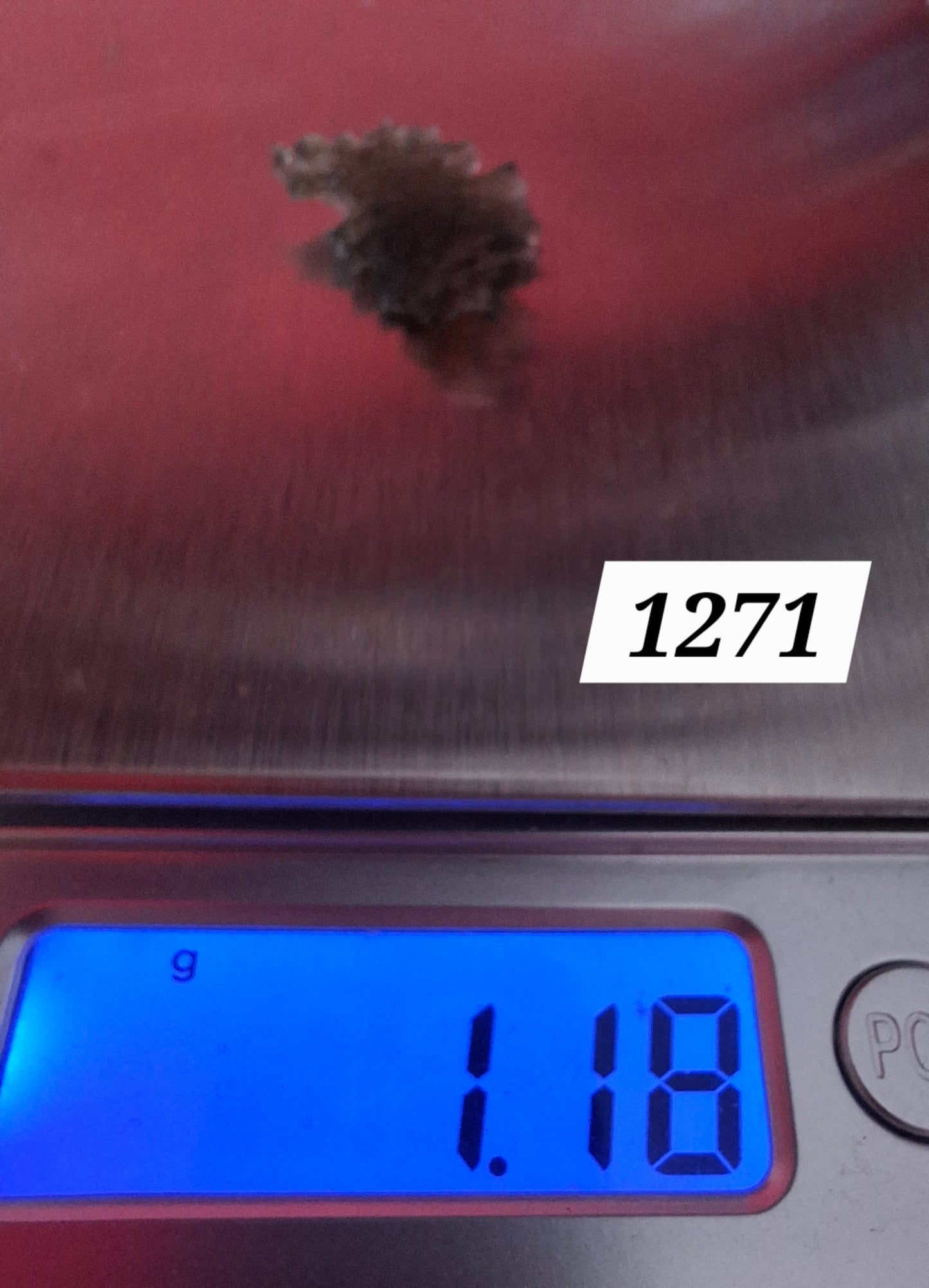 Moldavite Piece, JEZKOVNA BESEDNICE, 1.18g, Tektite (Ref: 1271)
