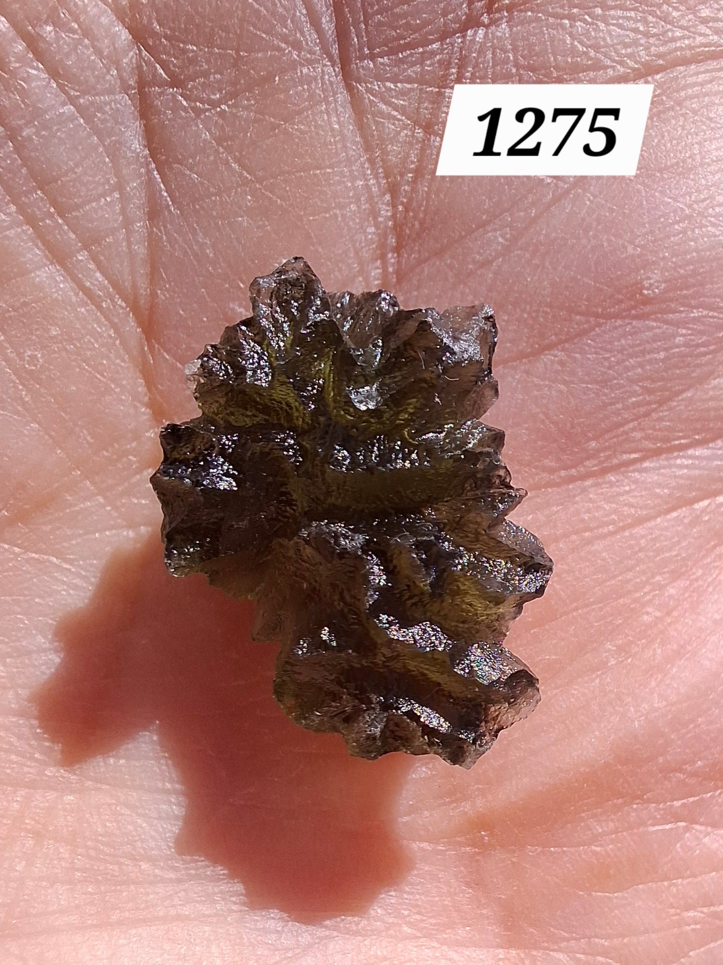 Moldavite Piece, JEZKOVNA BESEDNICE, 2.05g, Tektite (Ref: 1275)