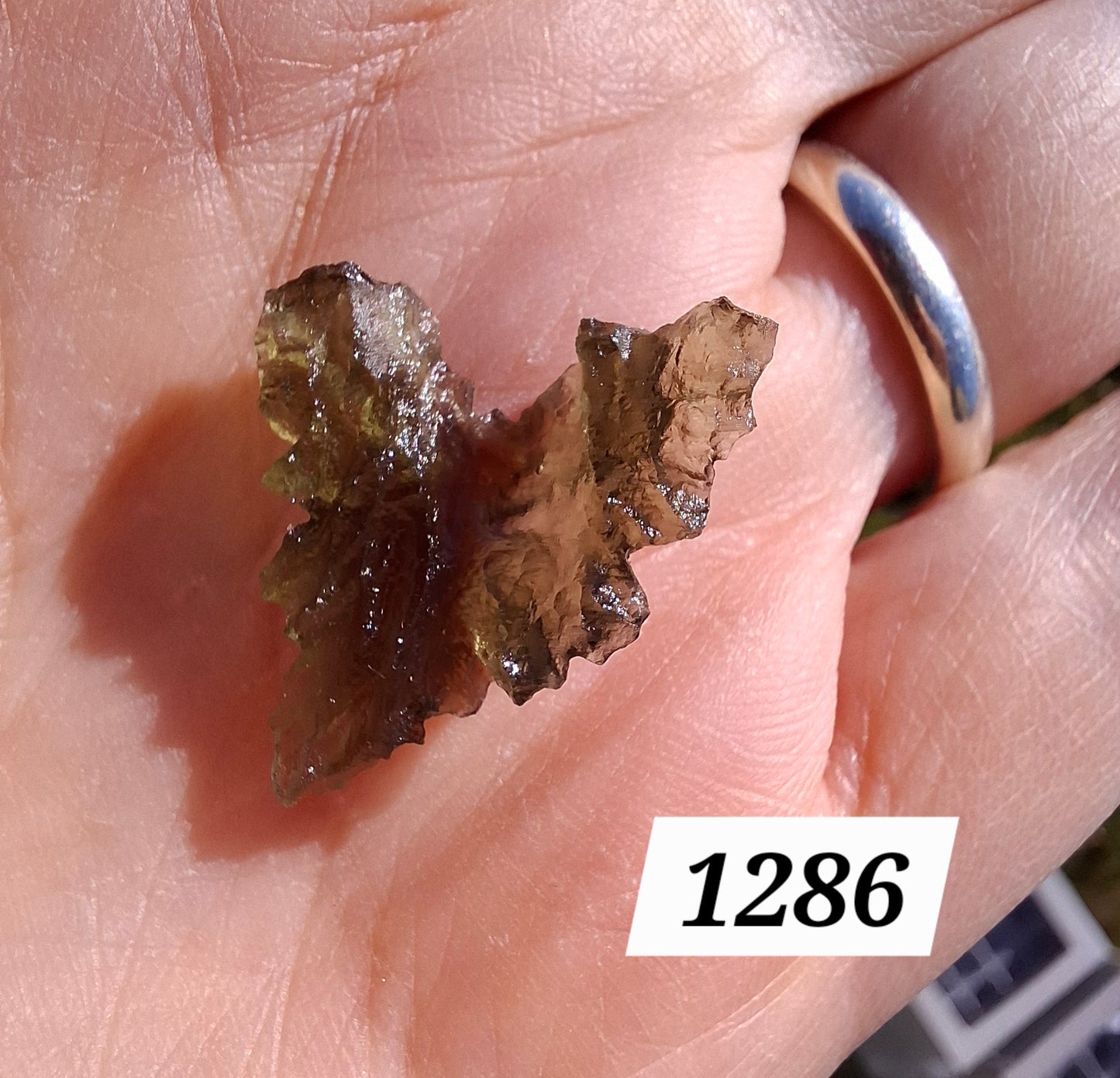 Moldavite Piece, JEZKOVNA BESEDNICE, 1.30g, Tektite (Ref: 1286)
