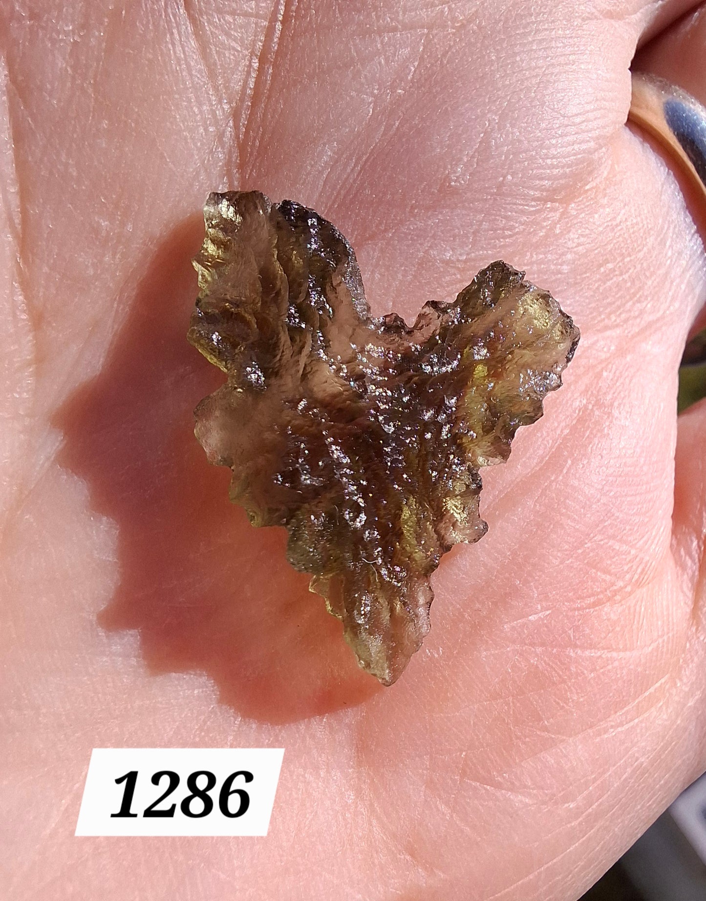 Moldavite Piece, JEZKOVNA BESEDNICE, 1.30g, Tektite (Ref: 1286)