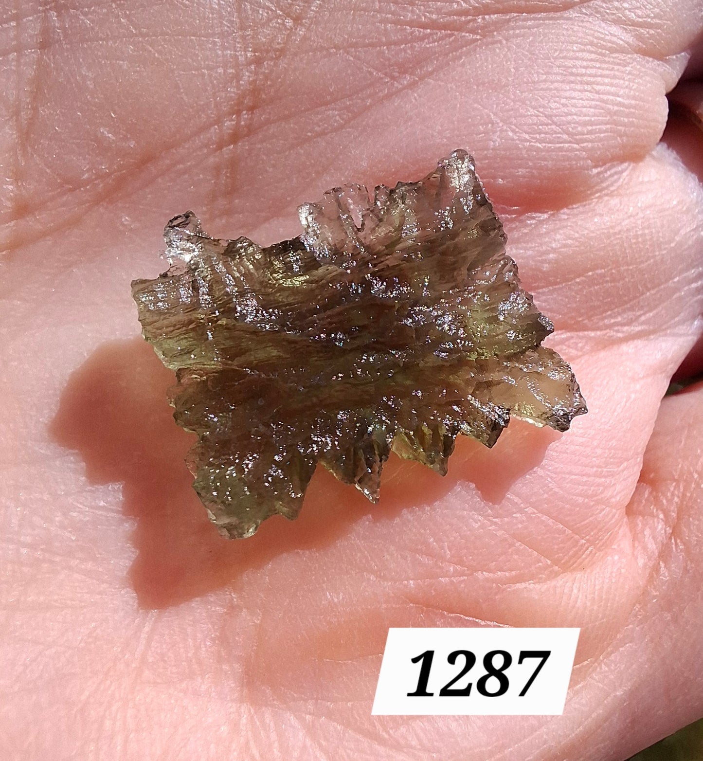Moldavite Piece, JEZKOVNA BESEDNICE, 1.52g, Tektite (Ref: 1287)