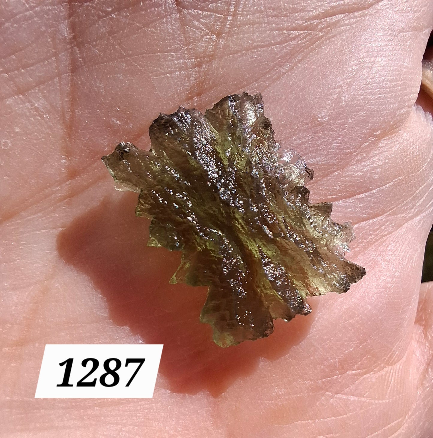 Moldavite Piece, JEZKOVNA BESEDNICE, 1.52g, Tektite (Ref: 1287)