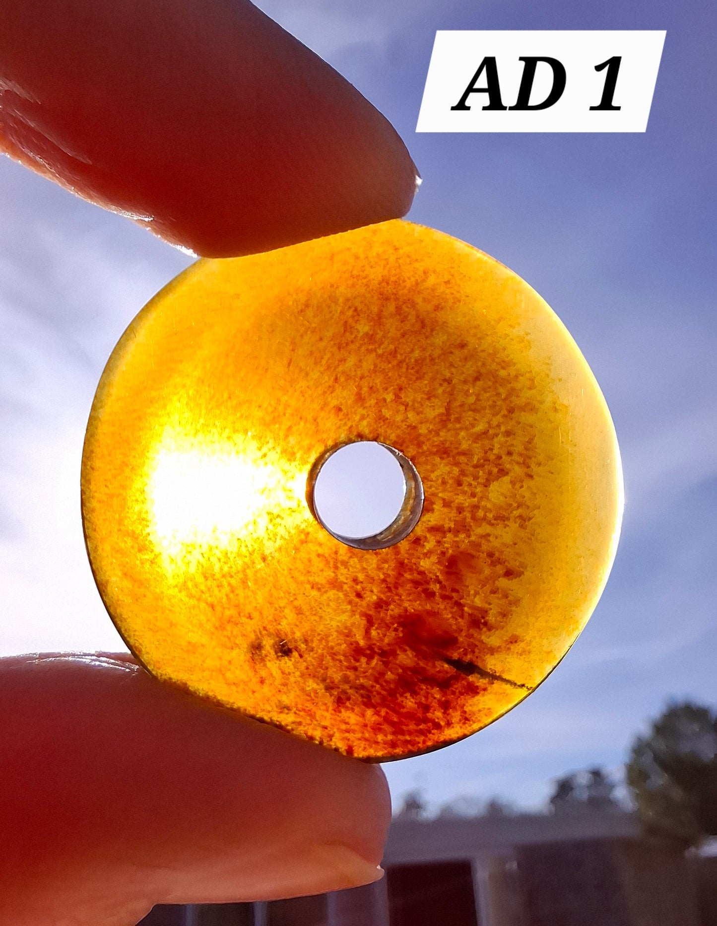Red Amber Disc/Doughnut carving/sphere holder, 4.13g, Fossil (Ref: AD1)