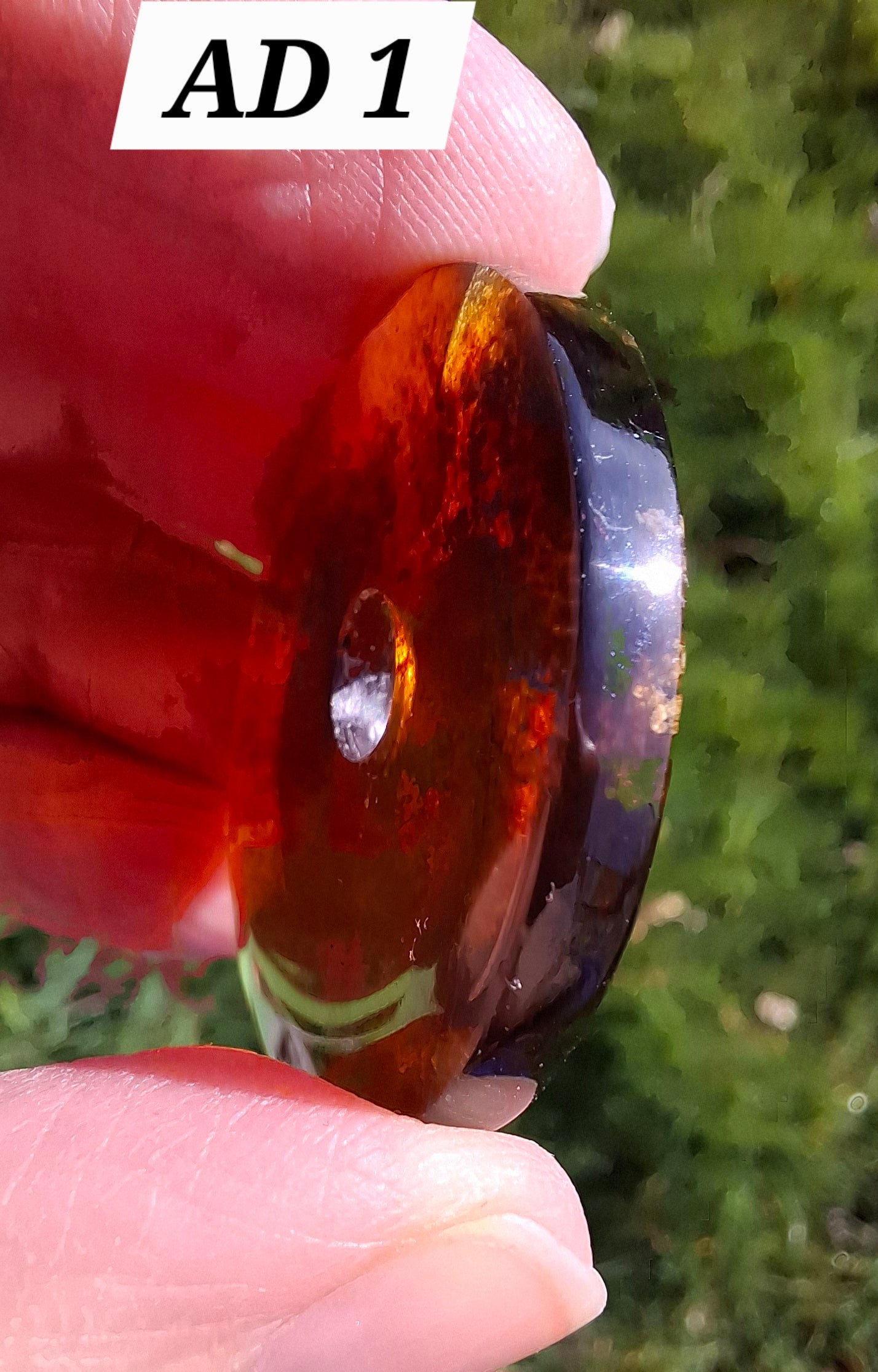 Red Amber Disc/Doughnut carving/sphere holder, 4.13g, Fossil (Ref: AD1)