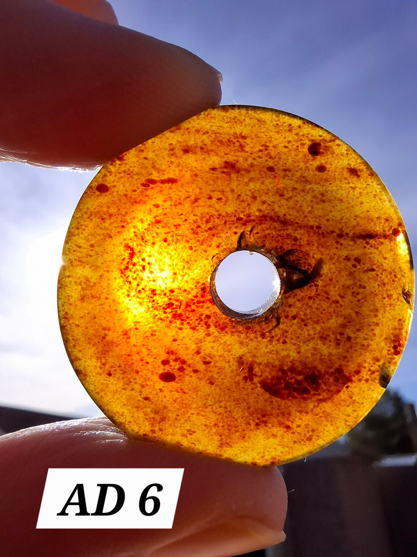 Red Amber Disc / Doughnut carving, sphere holder, 6.13g, Fossil (Ref: AD6)