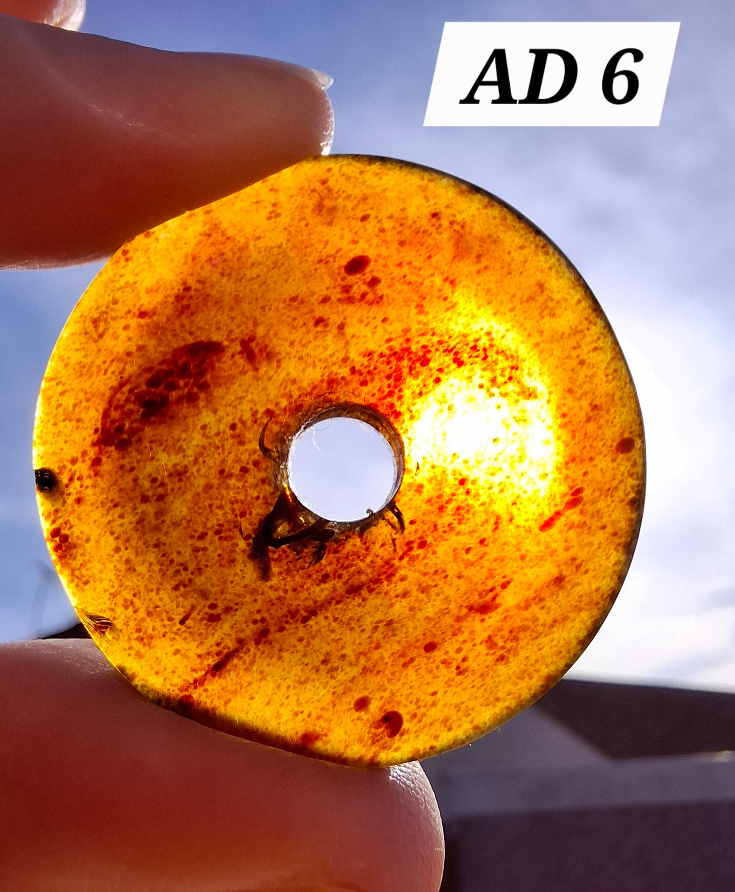 Red Amber Disc / Doughnut carving, sphere holder, 6.13g, Fossil (Ref: AD6)