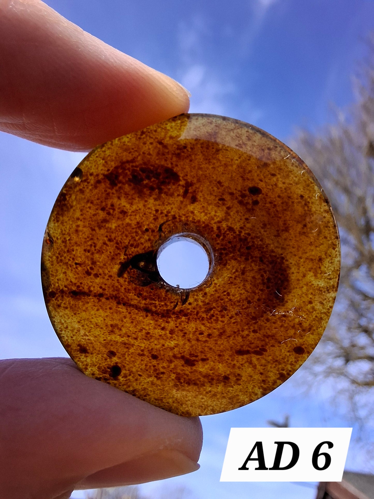 Red Amber Disc / Doughnut carving, sphere holder, 6.13g, Fossil (Ref: AD6)