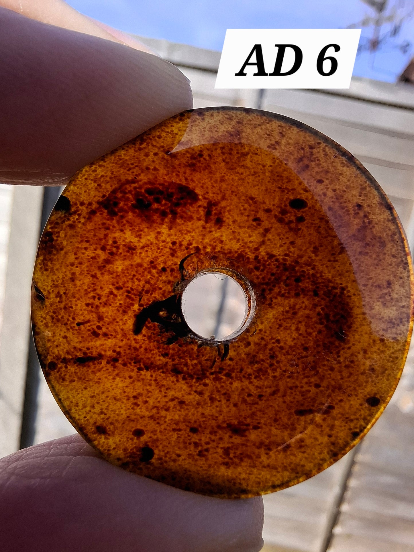 Red Amber Disc / Doughnut carving, sphere holder, 6.13g, Fossil (Ref: AD6)