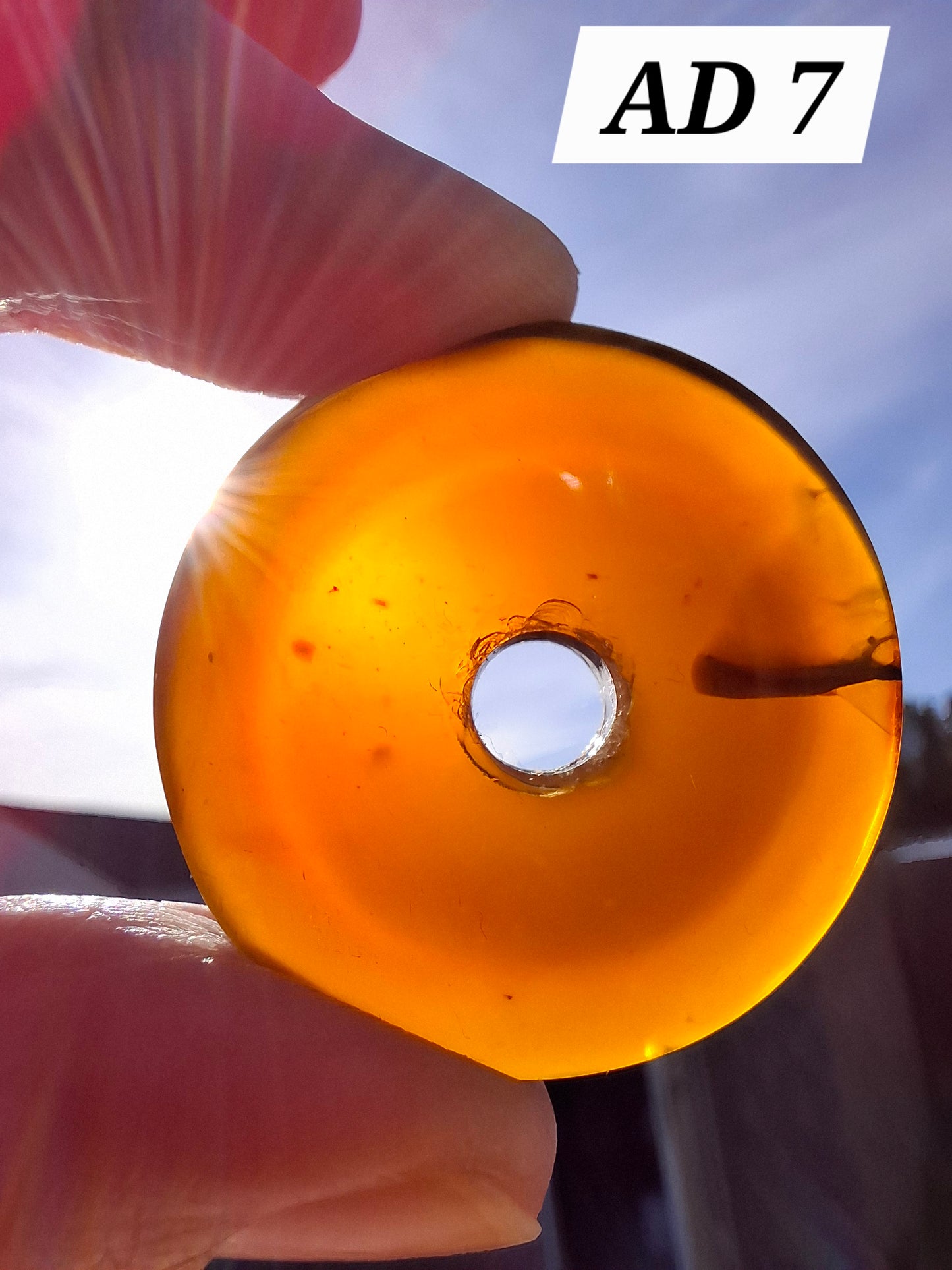 Red Amber Disc/ Doughnut carving, Sphere holder, 6.10g, Fossil (Ref: AD7)