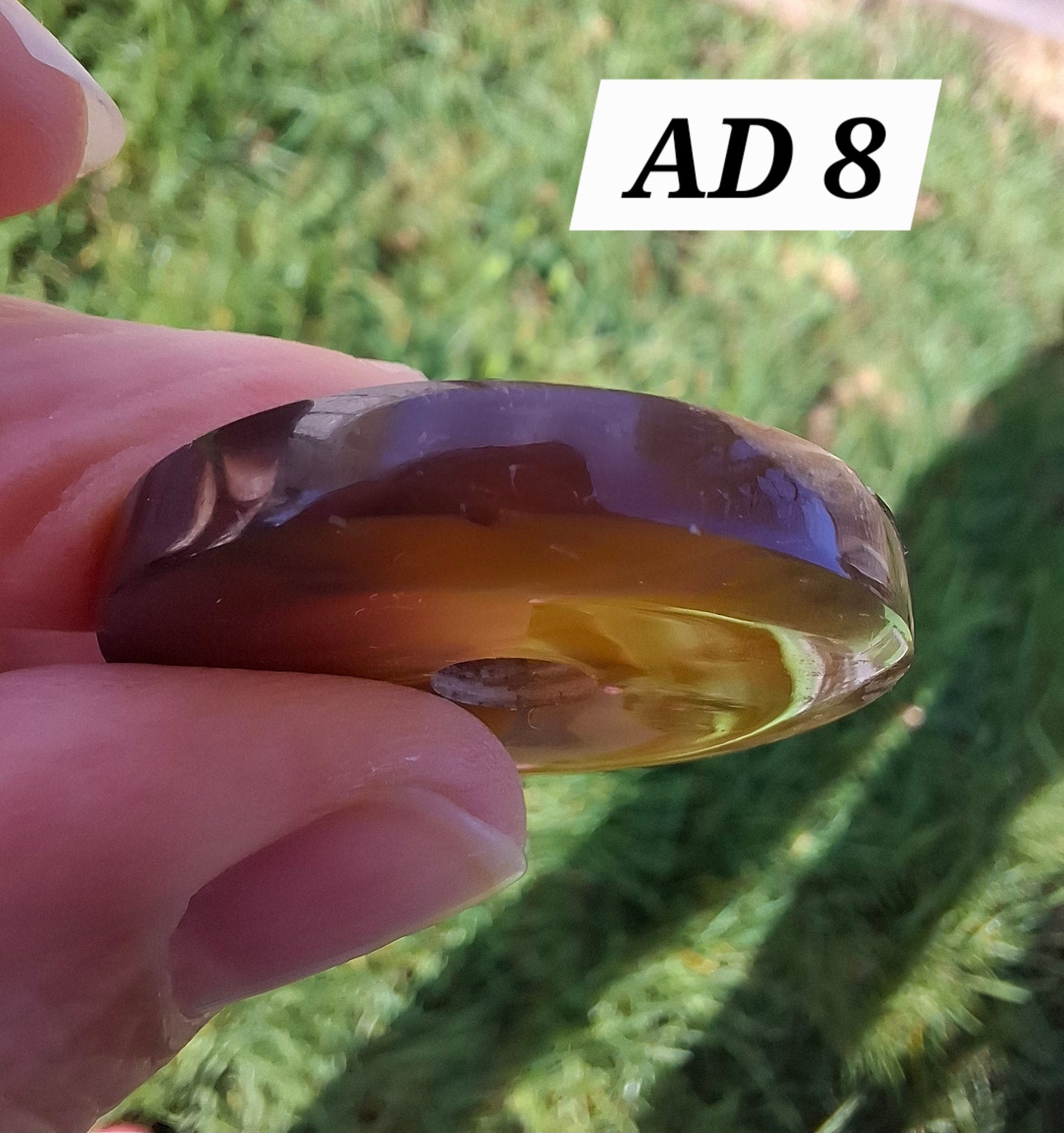 Red Amber Disc/Doughnut carving, Sphere holder, 4.65g, Fossil (Ref: AD8)