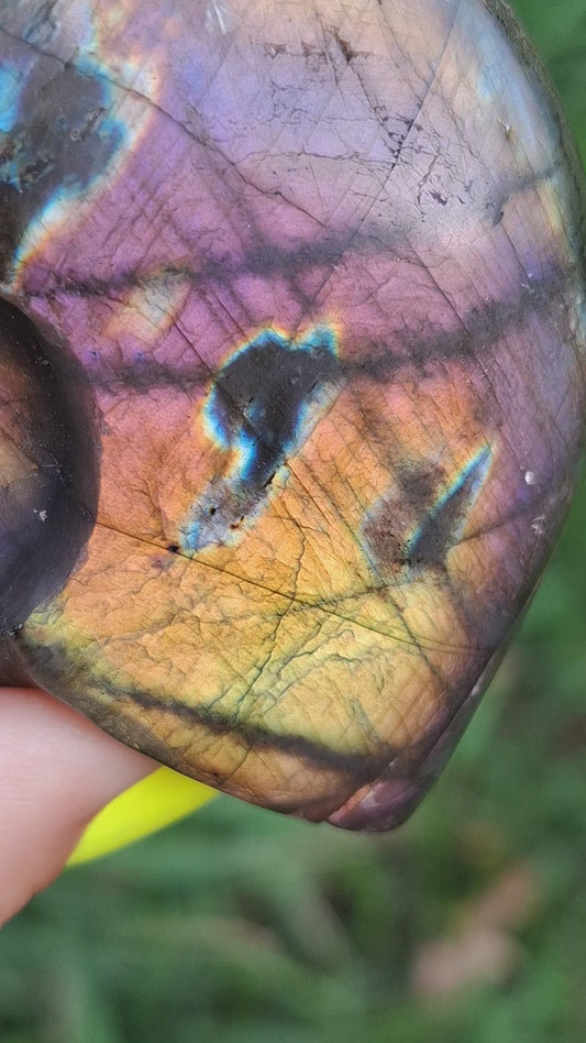 Labradorite Ammonite Carving, 146.90g, Crystal (Ref: laba5)