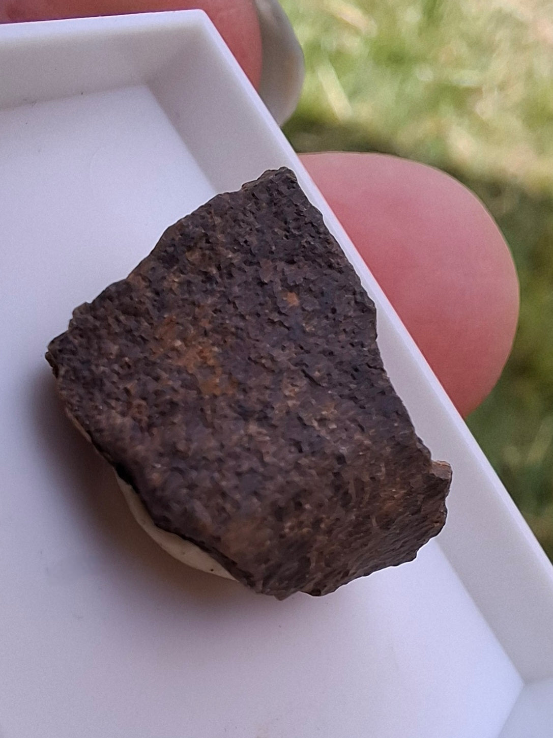Chondrite, Meteorite (Ref: CM8)