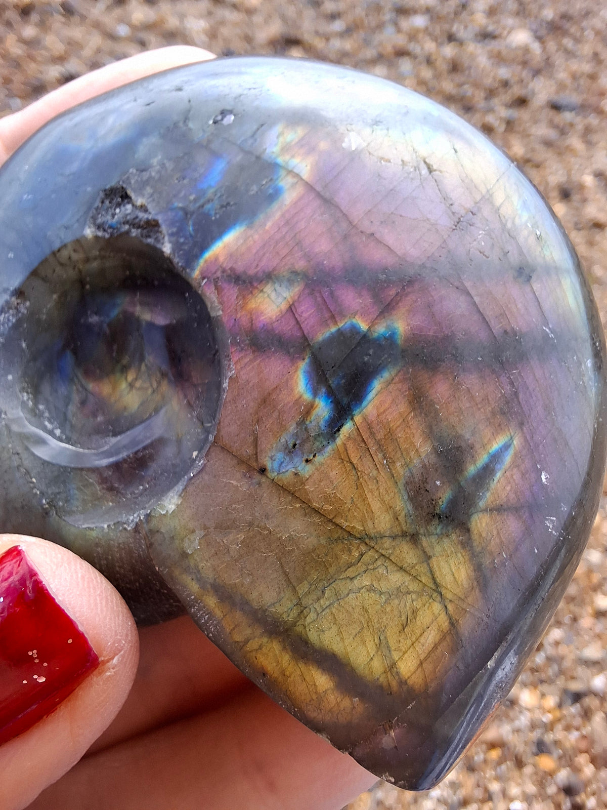 Labradorite Ammonite Carving, 146.90g, Crystal (Ref: laba5)