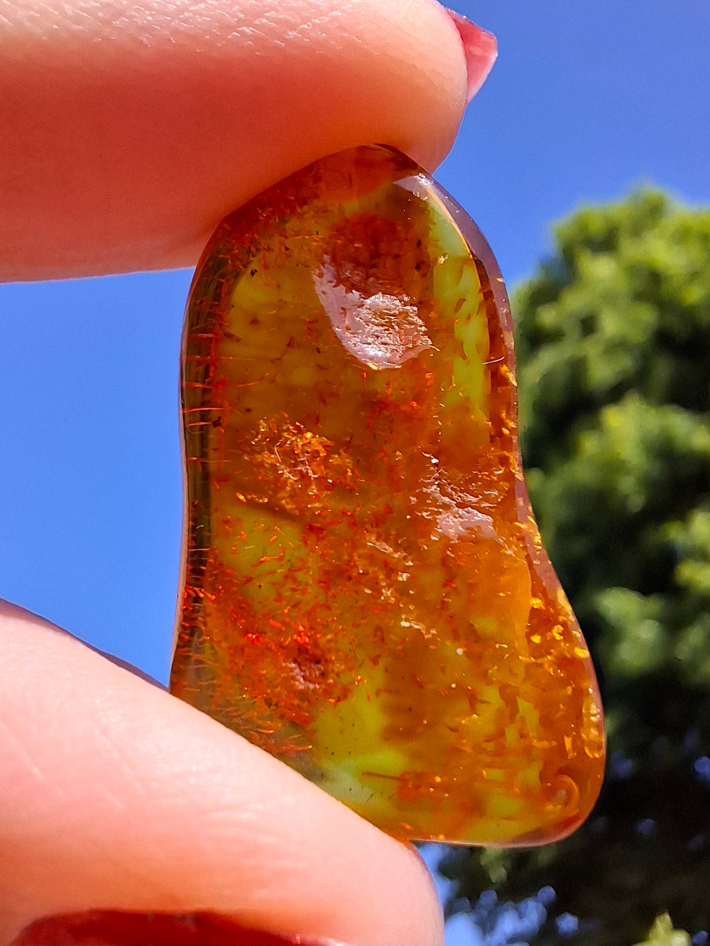 Baltic Amber, 1.94g, Fossil (Ref: A49)