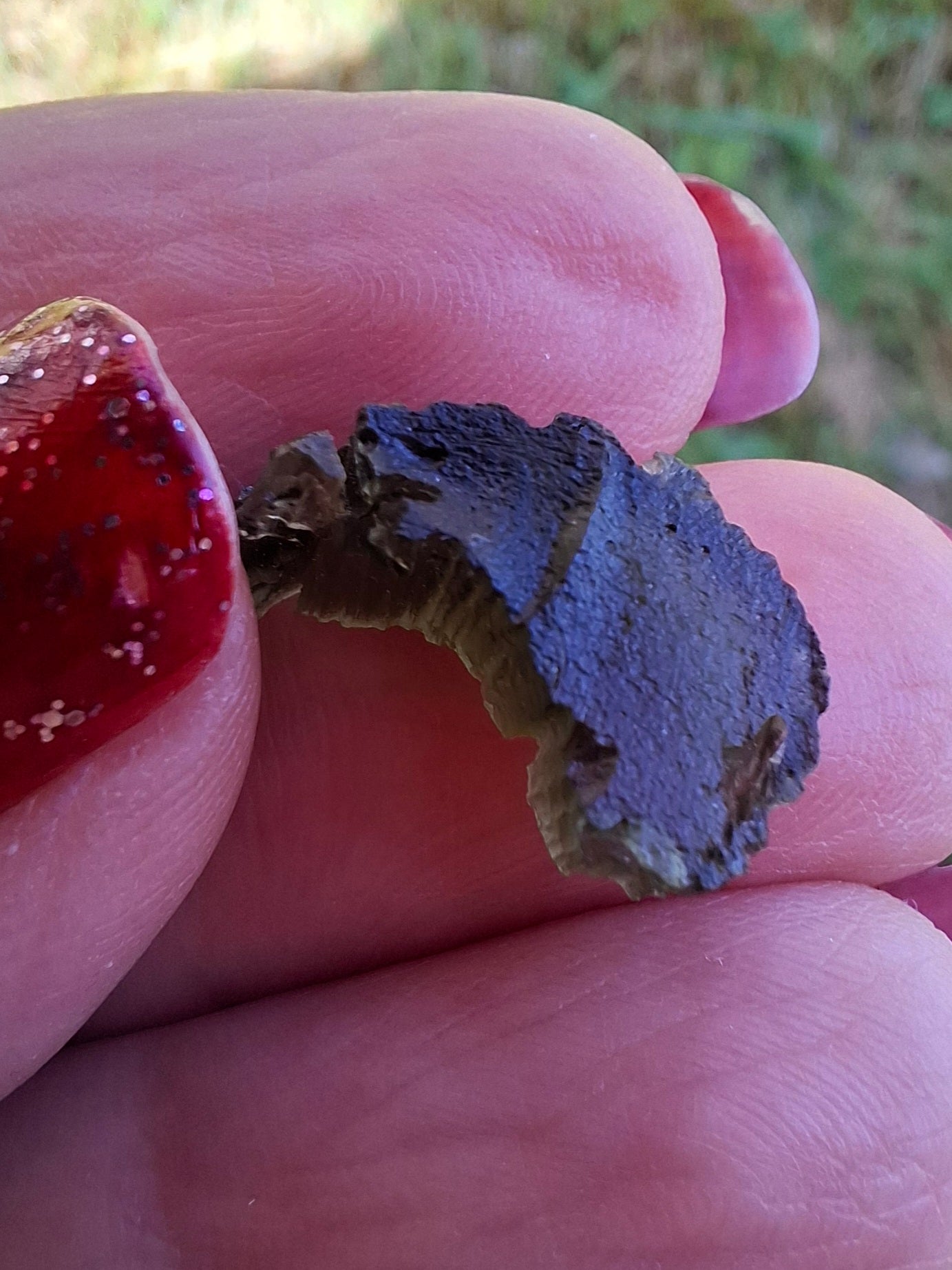 Moldavite Piece, 1.25g, Tektite (Ref: 1470)