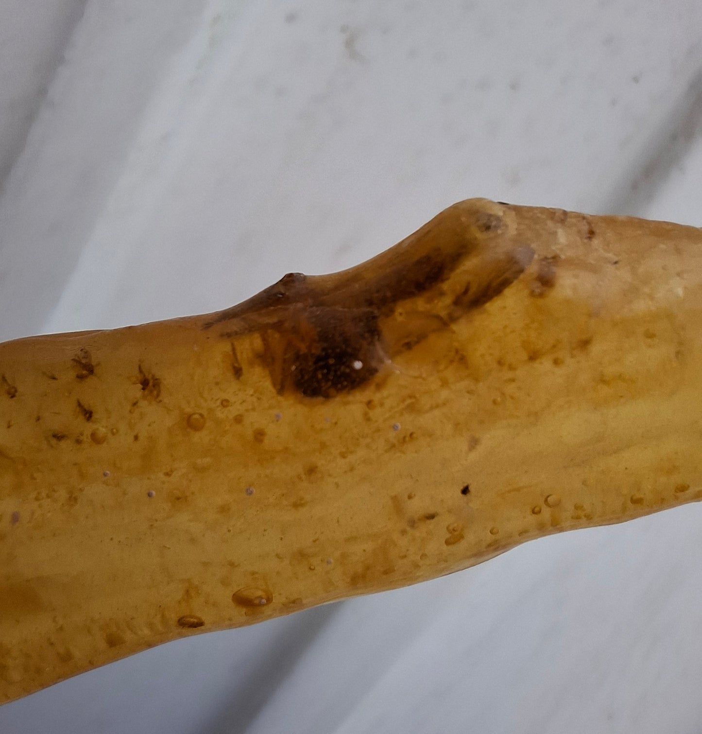 Copal Young Amber with INSECTS inside, 18.29g, Fossil (Ref: CA33)