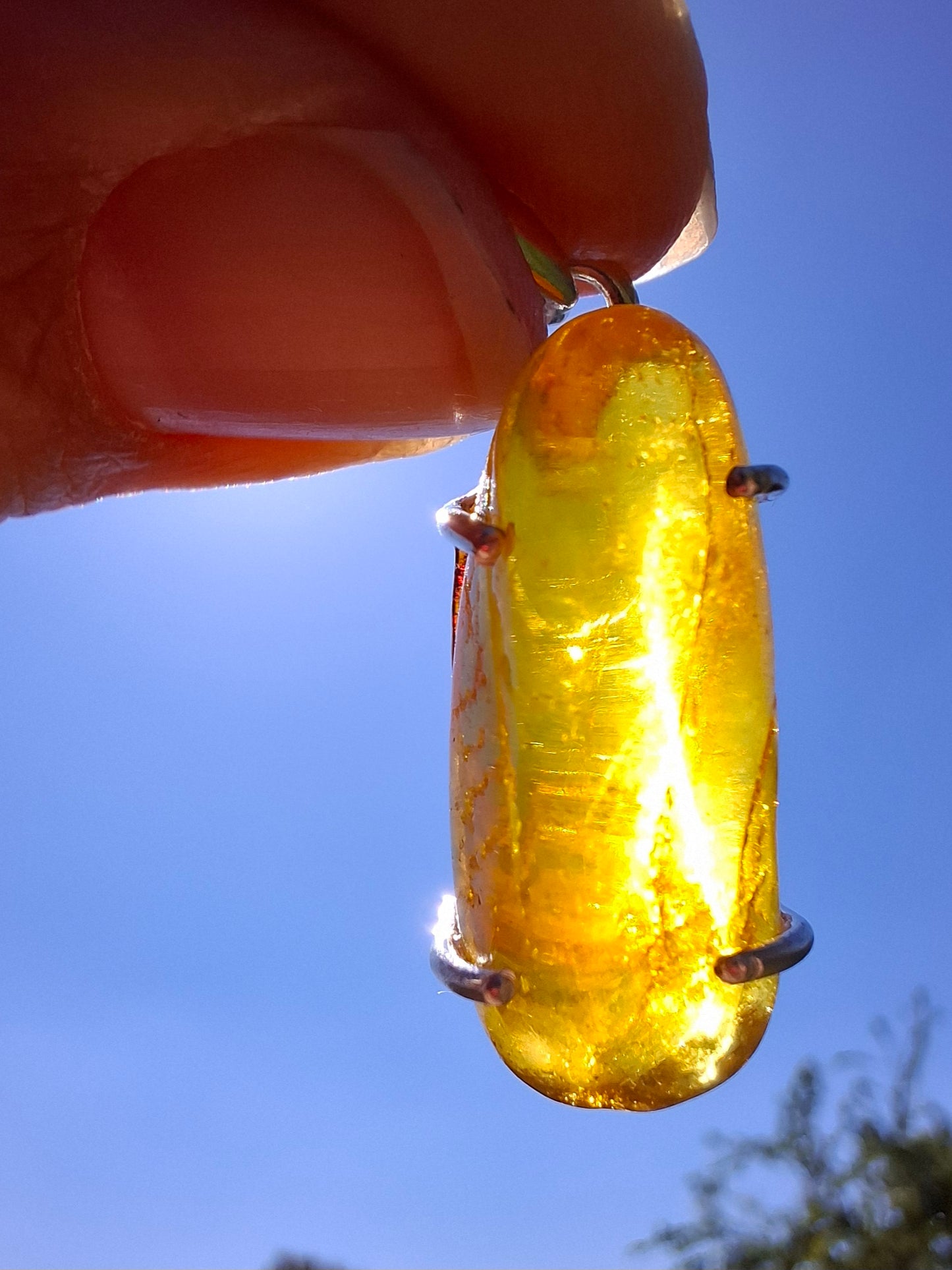Baltic Amber Pendant, 925 Silver, Fossil (Ref: AP13)