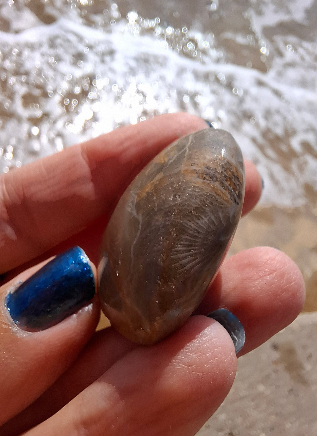 Fossil Coral Heart, (Ref:CoH1)