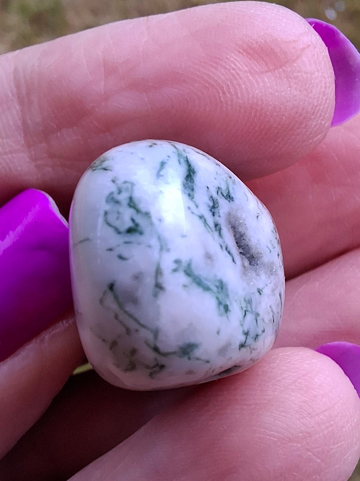 Tree Agate, Tumble Stone, Crystal (Ref: T3)