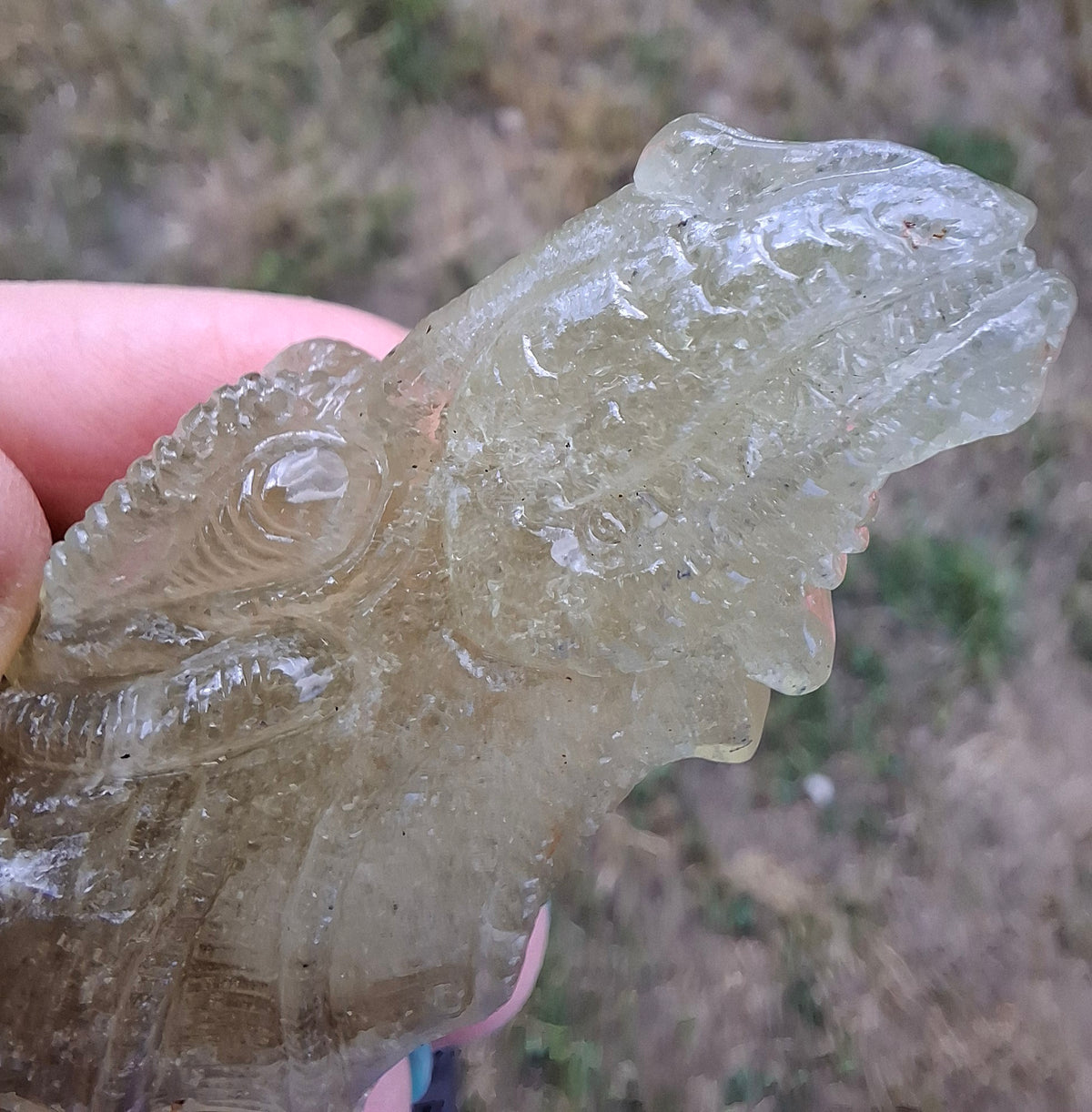 Libyan Desert Glass DRAGON HEAD carving, 48.11g, Tektite (Ref: Dragon4)