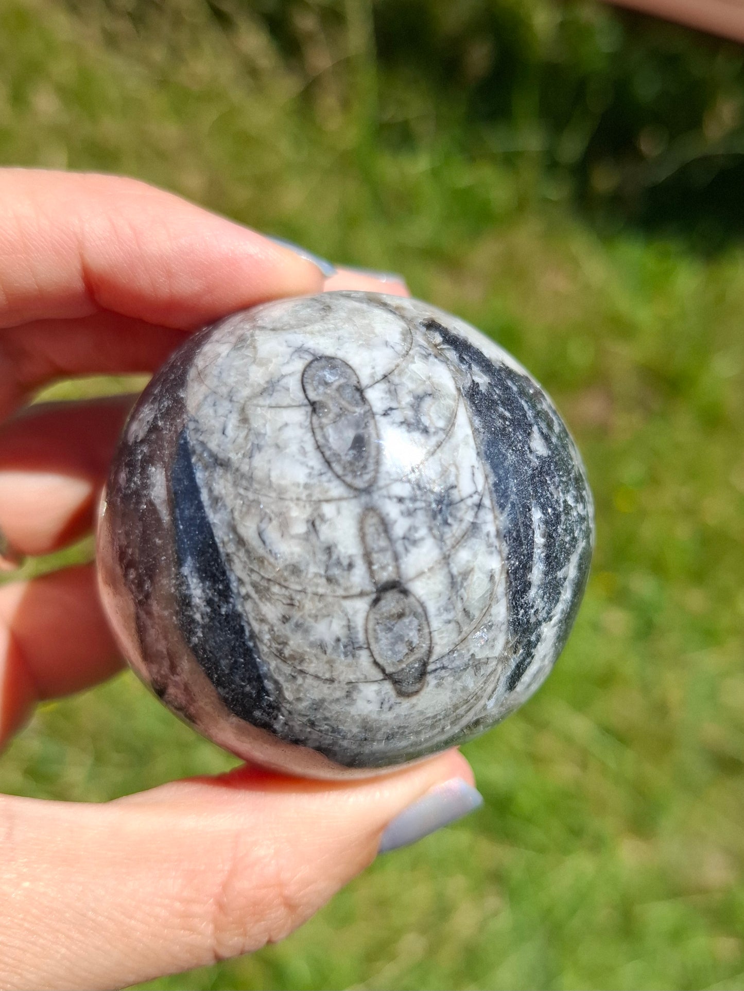 Orthoceras Sphere, Fossil (Ref: OS2)