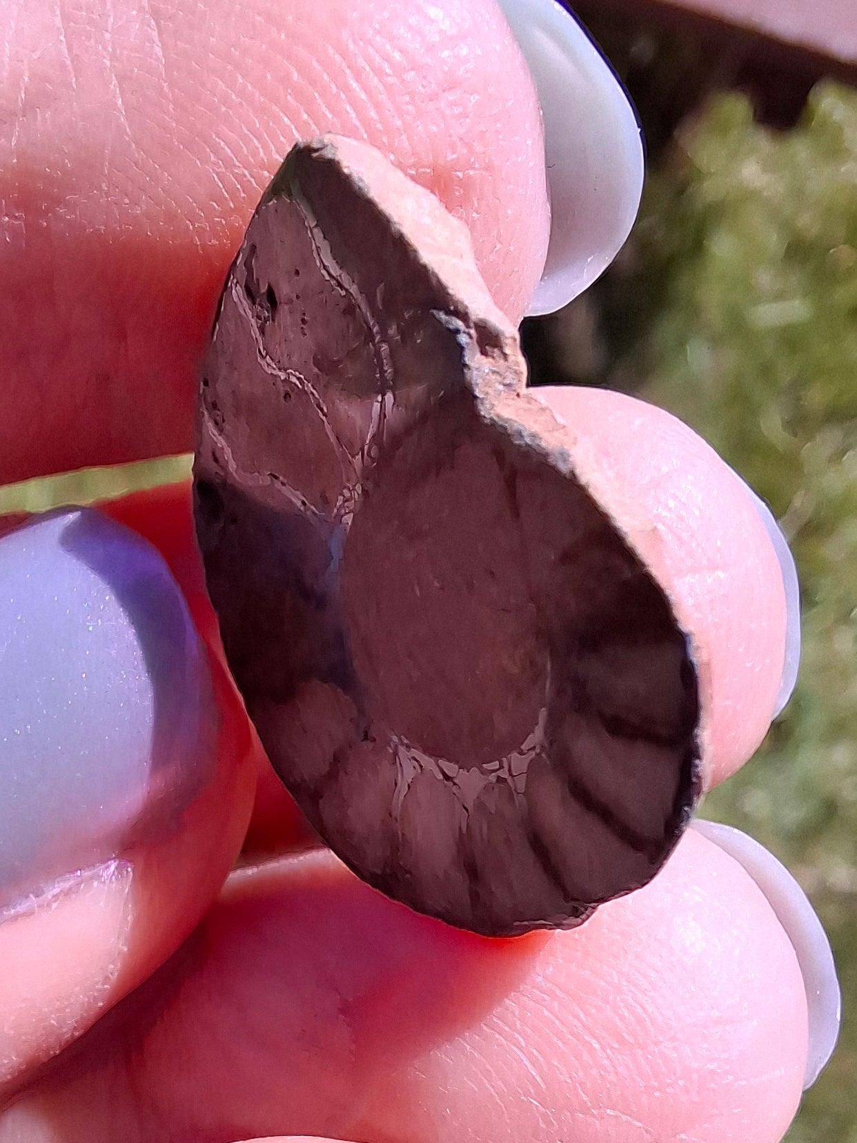 Small Haematite Ammonite HALF, 1.66g, Fossil (Ref: MA2)