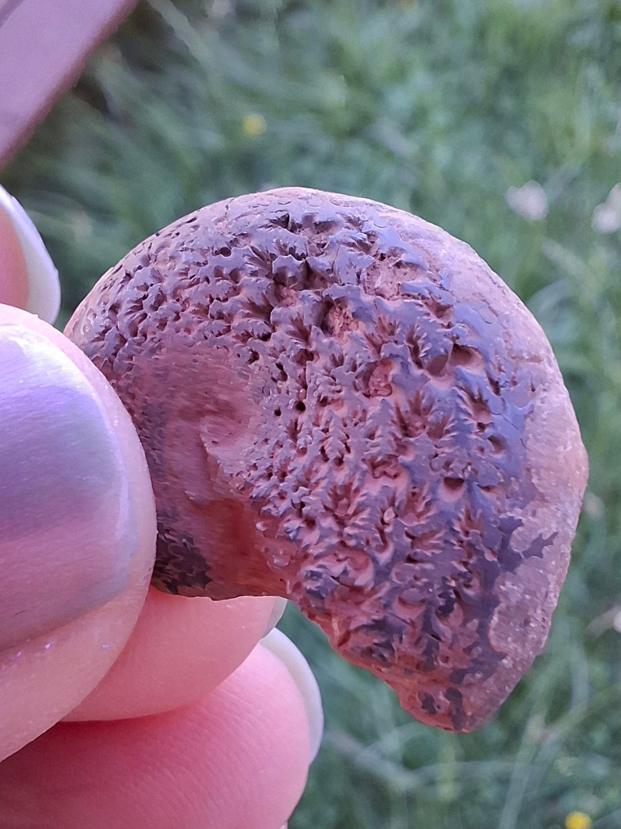 Small Haematite Ammonite HALF, 2.55g, Fossil (Ref: MA8)