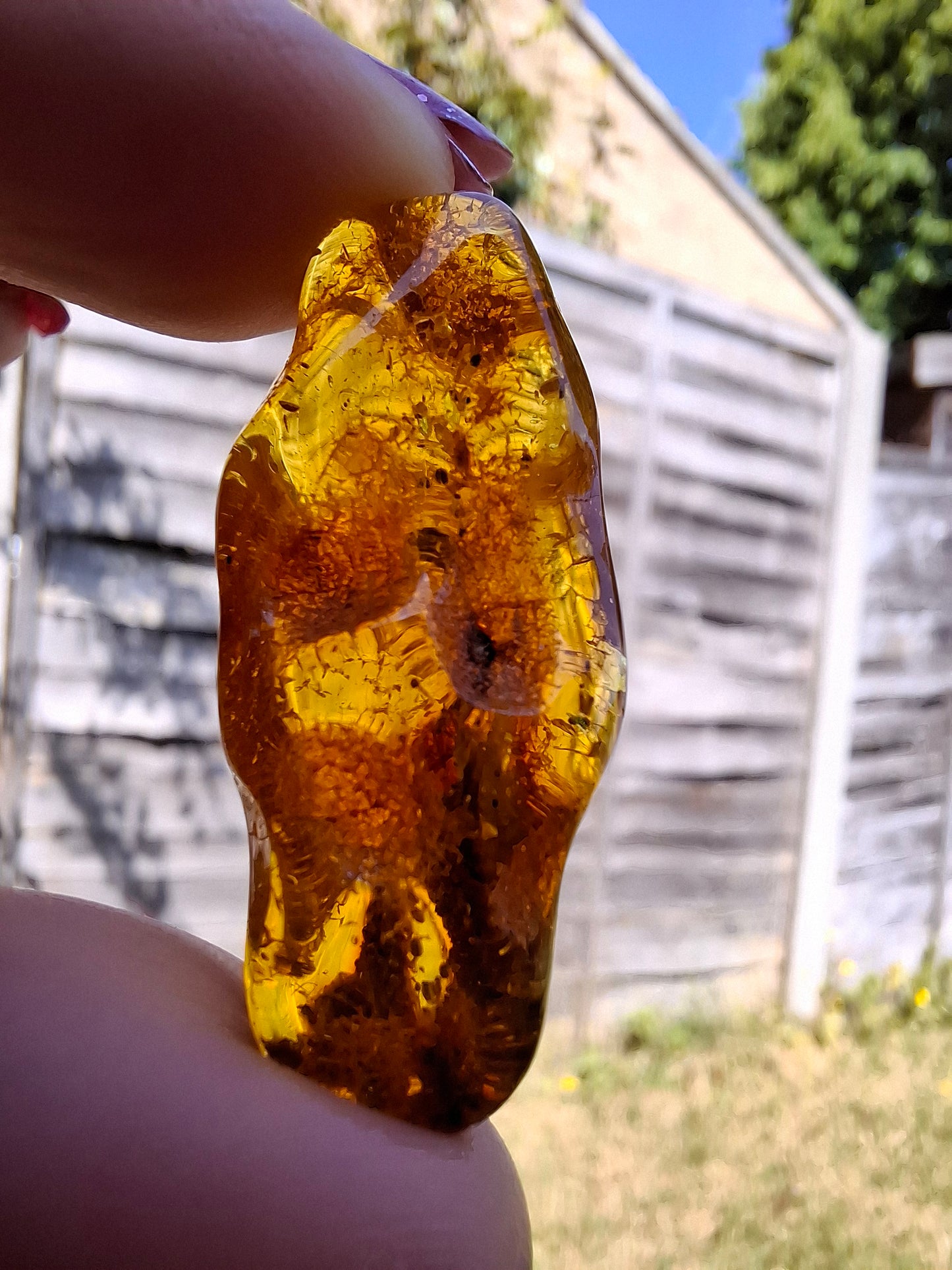 Baltic Amber, 2.95g, Fossil (Ref: A159)