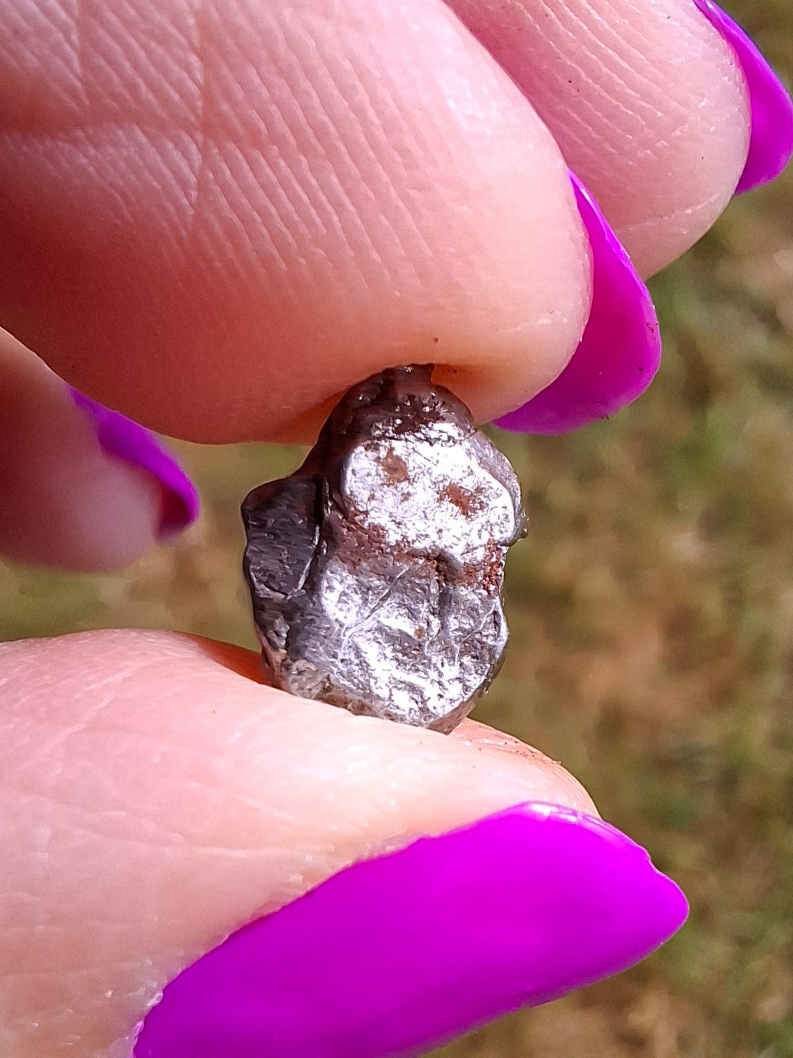 Campo del Cielo, 0.96g, Nickel Iron Meteorite (Ref: C7)