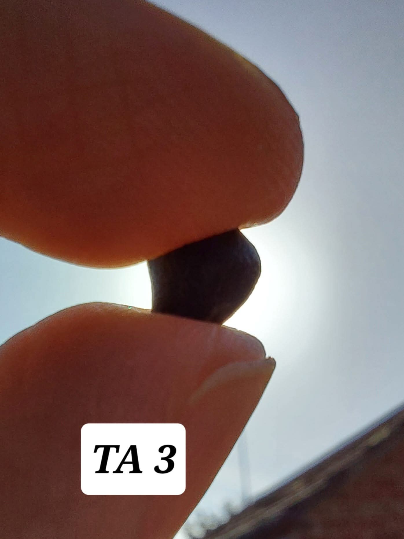 Atacamite, 0.37g, Tektite (Ref: TA3)