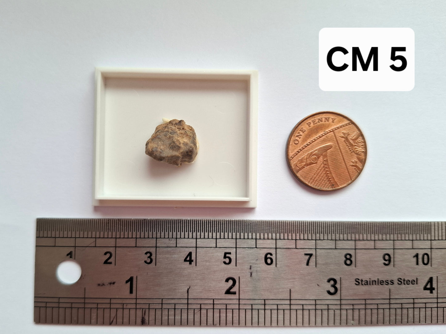 Chondrite, Meteorite (Ref: CM5)