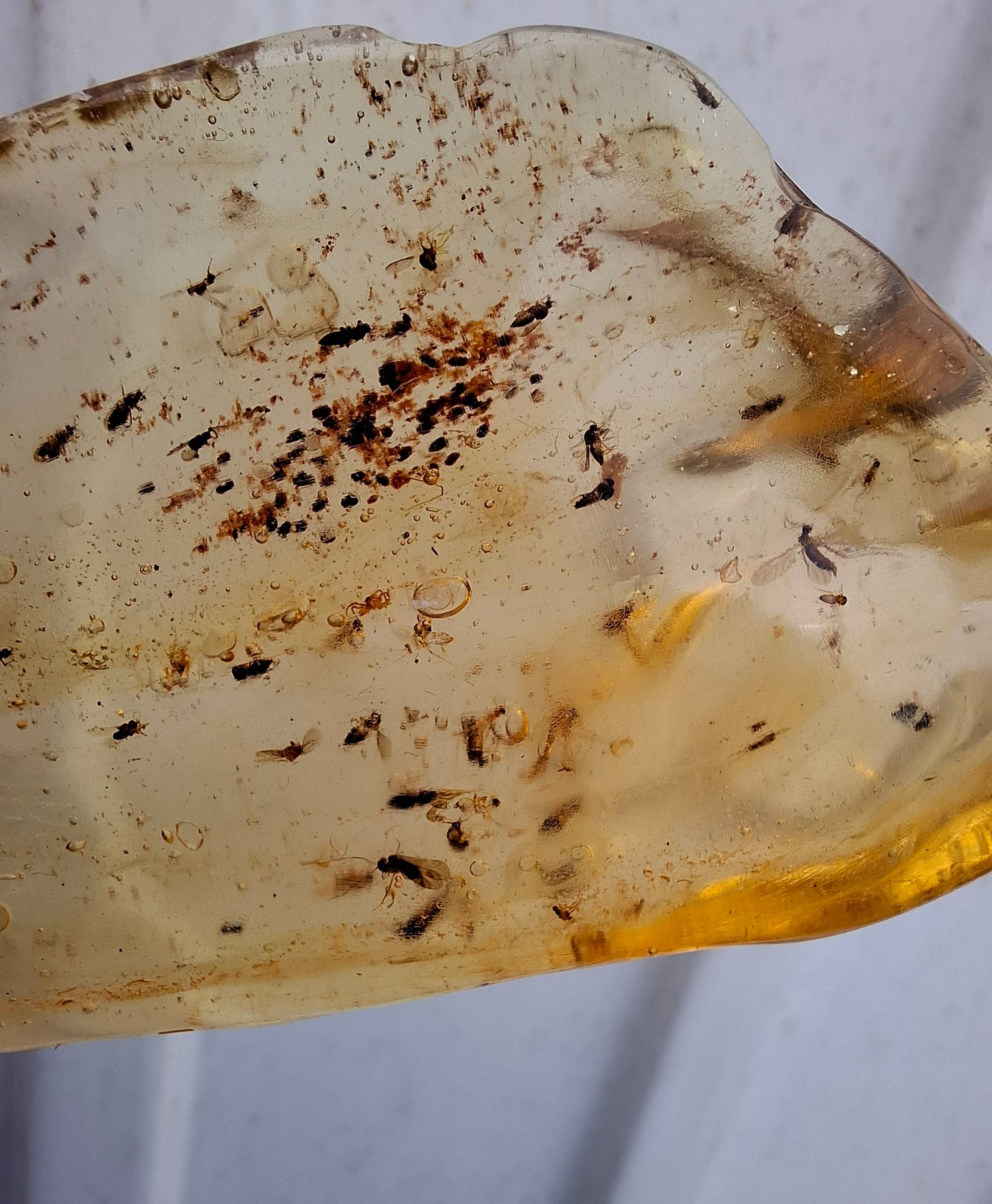 Copal Young Amber with INSECTS inside, 28.43g, Fossil (Ref: CA10)