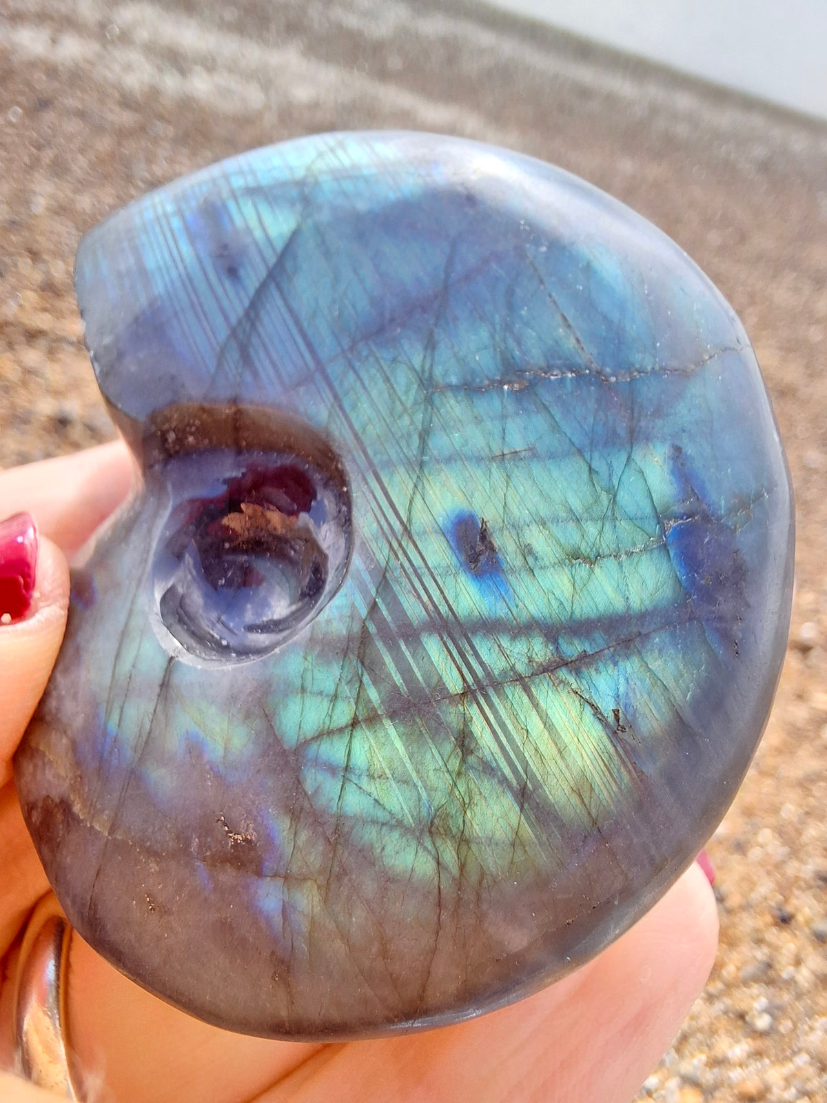 Labradorite Ammonite carving, 96.88g, Crystal (Ref: laba1)