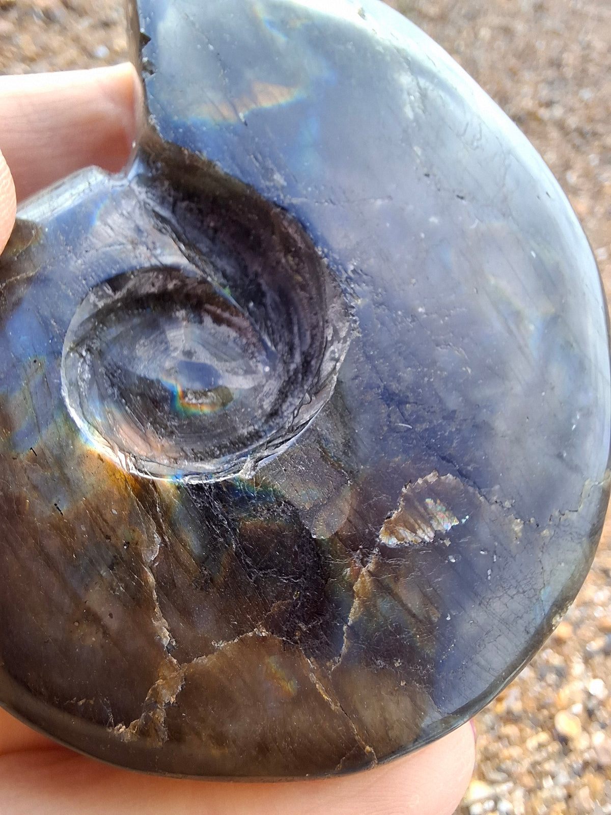 Labradorite Ammonite Carving, 153.97g, Crystal (Ref: laba2)