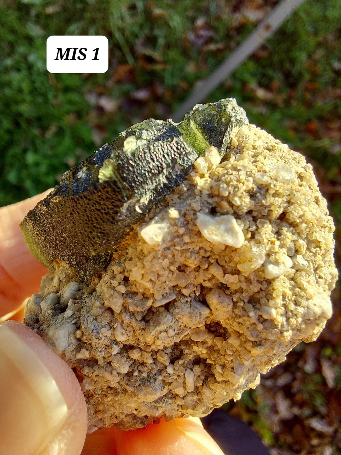 Moldavite In-Situ (in matrix), Besednice, Est-13g, Tektite (Ref: MIS1)