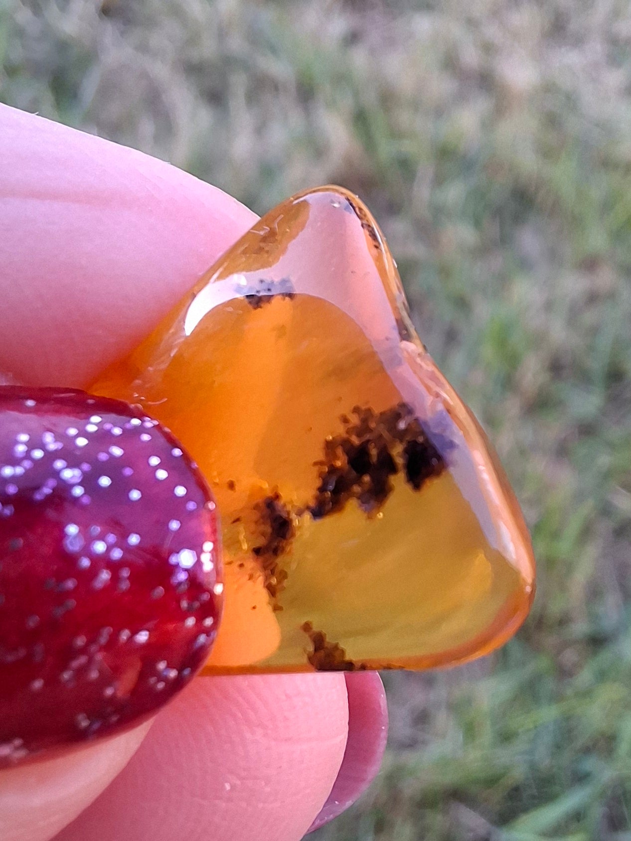 Baltic Amber, 0.91g, Fossil (Ref: A240)