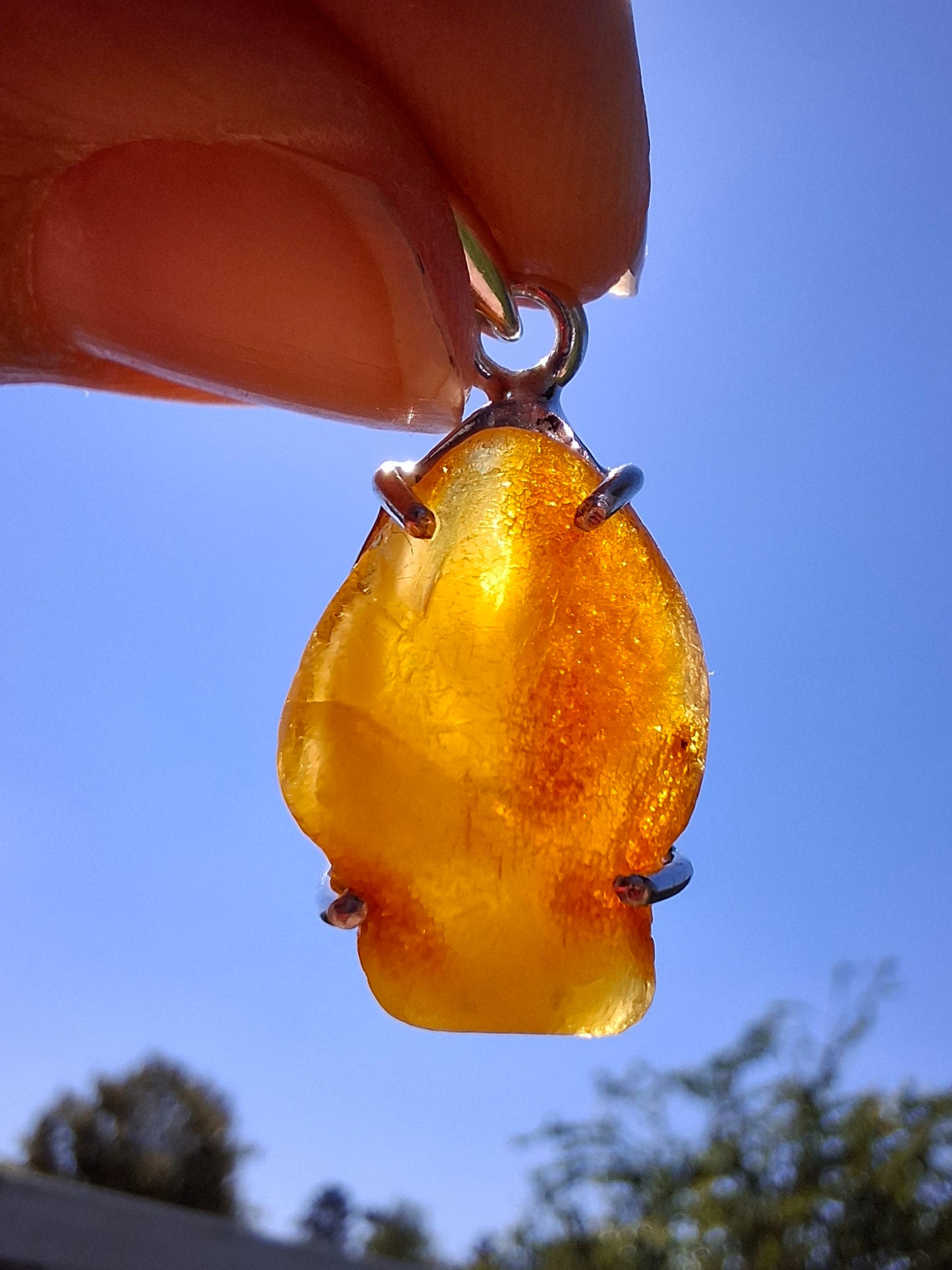 Baltic Amber Pendant, 925 Silver, Fossil (Ref: AP5)