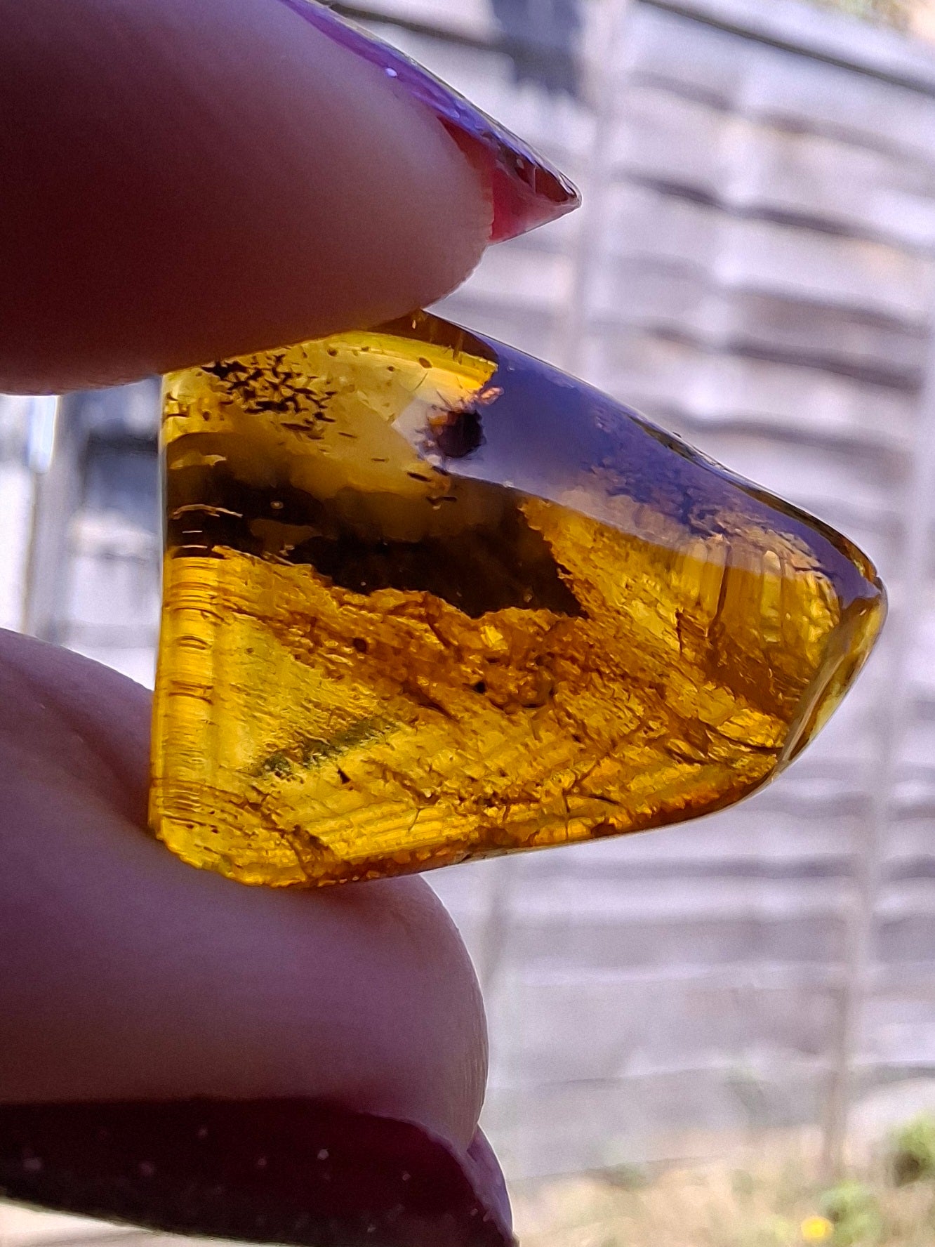 Baltic Amber, 1.61g, Fossil (Ref: A186)