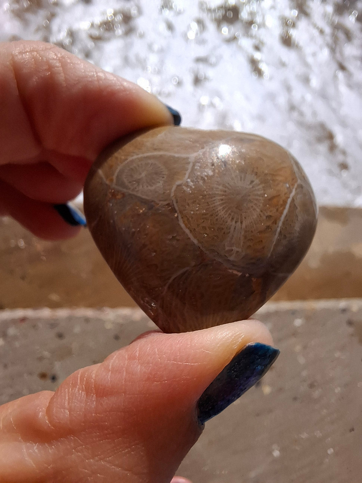 Fossil Coral Heart, (Ref: CoH2)