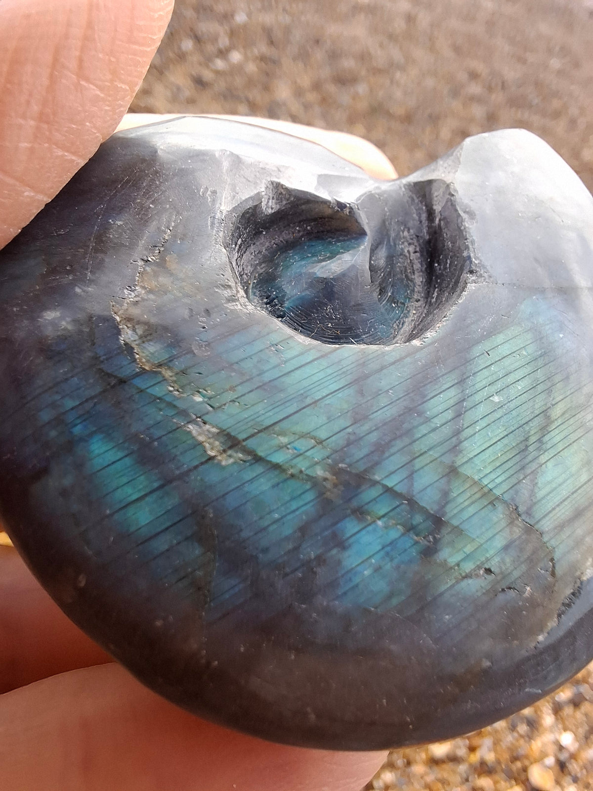 Labradorite Ammonite Carving, 111.66g, Crystal (Ref: laba3)